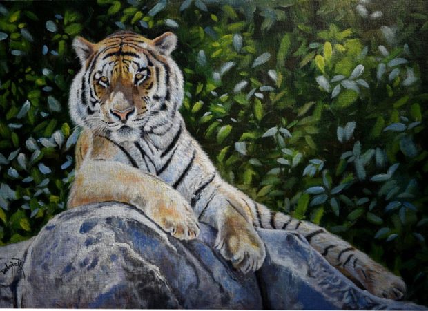 WhatsApp Image 2026-04-13 at 8.47.14 PMfdssj